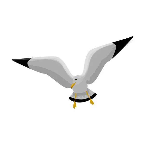 鸟类海鸥矢量图标.在白色背景上孤立的卡通矢量图标. — 图库矢量图片