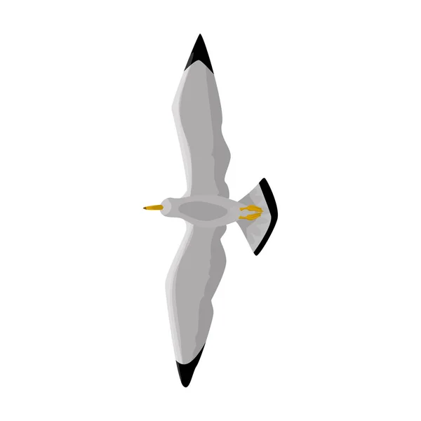 Icône vectorielle de mouette d'oiseau.Icône vectorielle de bande dessinée isolée sur fond blanc Mouette d'oiseau . — Image vectorielle