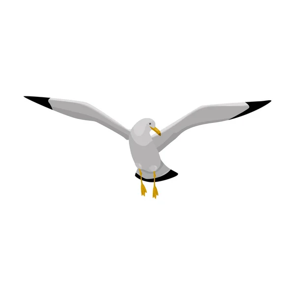 Icône vectorielle de mouette d'oiseau.Icône vectorielle de bande dessinée isolée sur fond blanc Mouette d'oiseau . — Image vectorielle