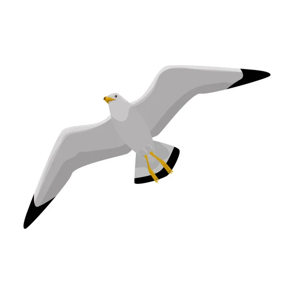 Icono de vector de gaviota de pájaro. Icono de vector de dibujos animados aislado en fondo blanco . — Archivo Imágenes Vectoriales