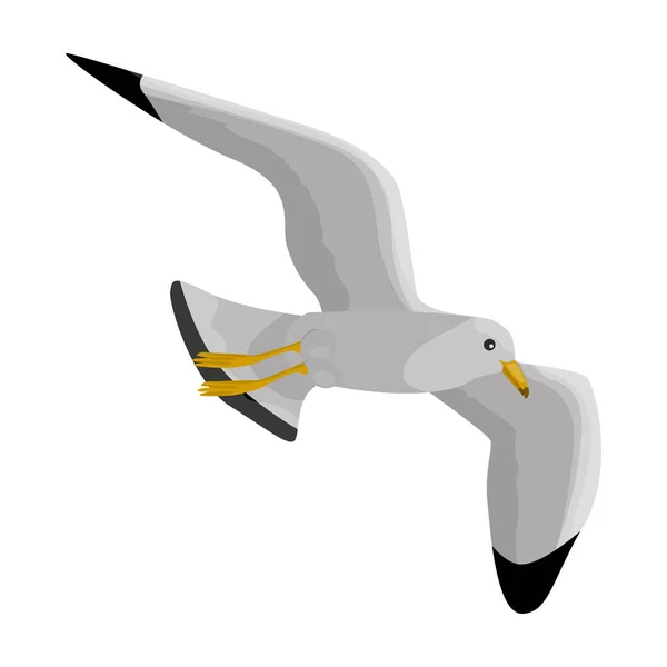 Icône vectorielle de mouette d'oiseau.Icône vectorielle de bande dessinée isolée sur fond blanc Mouette d'oiseau . — Image vectorielle