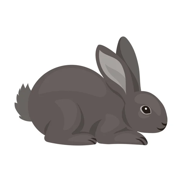 Icône vectorielle de lapin Icône vectorielle de bande dessinée isolée sur fond blanc lapin . — Image vectorielle