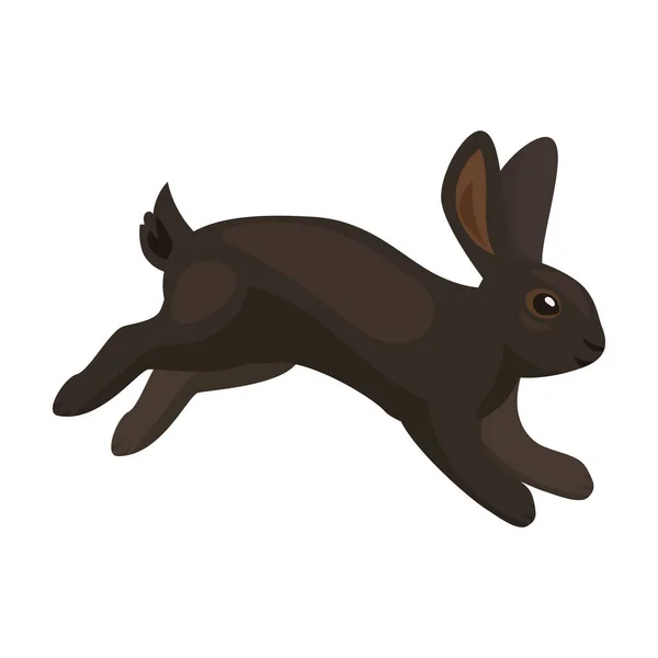 Tavşan vektör simgesi. Beyaz arka plan tavşanı üzerinde izole edilmiş çizgi film vektör simgesi.. — Stok Vektör