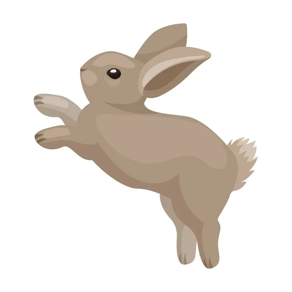 Icône vectorielle de lapin Icône vectorielle de bande dessinée isolée sur fond blanc lapin . — Image vectorielle