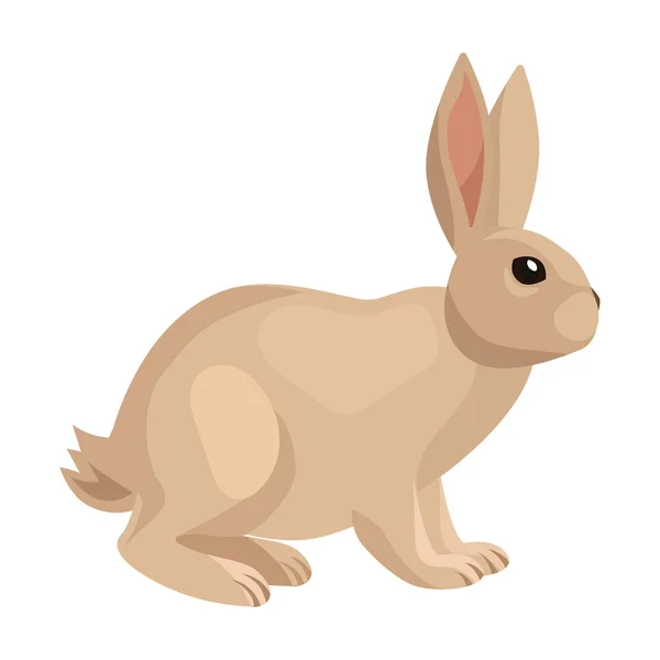 Ícone de vetor de coelho icon.Cartoon vetor isolado no fundo branco coelho . — Vetor de Stock