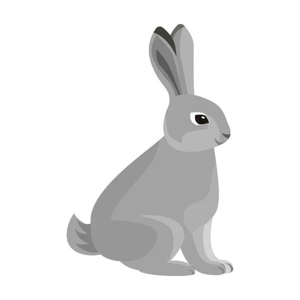 Králičí vektorová ikona.Kreslený vektor ikona izolované na bílém pozadí králík. — Stockový vektor