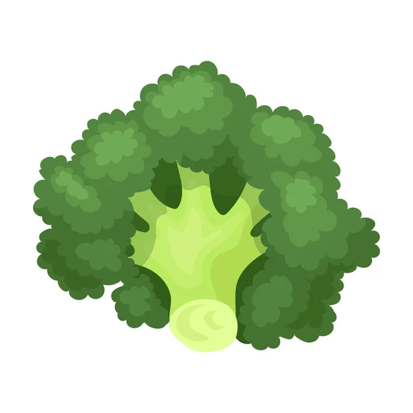 Dibujos Animados De Brocoliストックベクター ロイヤリティフリーdibujos Animados De Brocoliイラスト ページ 4 Depositphotos