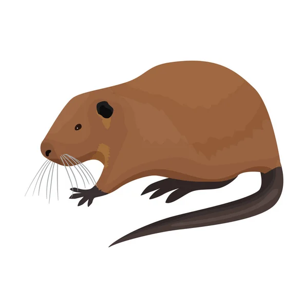 Råttvektor ikon.Cartoon vektor ikon isolerad på vit bakgrund råtta. — Stock vektor