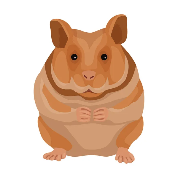 • vector icon.Cartoon vector pictogram geïsoleerd op witte achtergrond hamster. — Stockvector