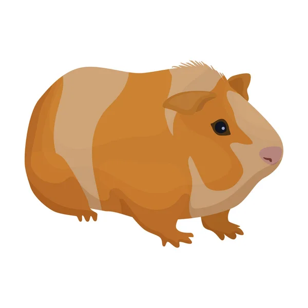 Cavy vector icon.Cartoon vector pictogram geïsoleerd op witte achtergrond cavy. — Stockvector