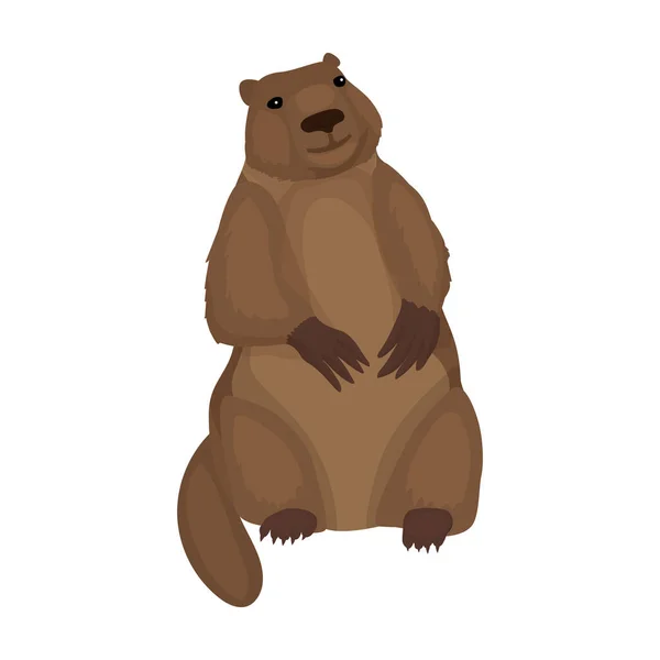 Marmot vector icon.Cartoon icono de vector aislado sobre fondo blanco marmota . — Archivo Imágenes Vectoriales