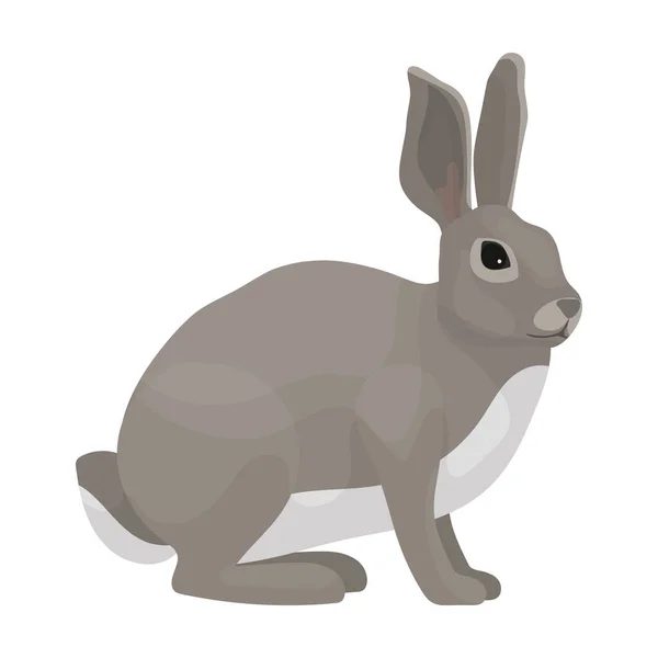 Hare vector icon.Cartoon vector icon isolated on white background hare. — Stock Vector