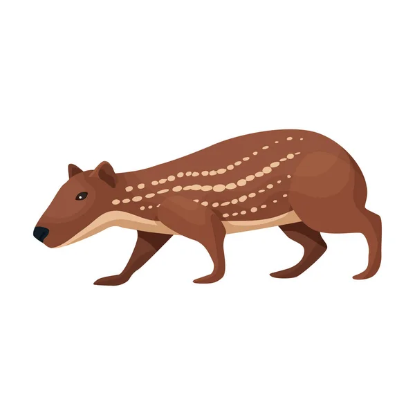 Agouti vektor ikon.Rajzfilm vektor ikon elszigetelt fehér háttér agouti. — Stock Vector