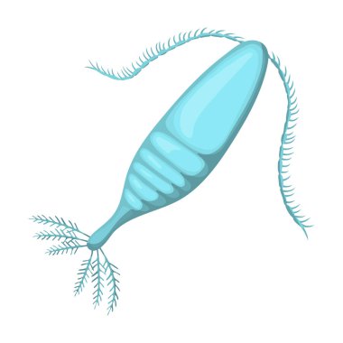 Plankton vektör simgesi. Çizgi film vektör simgesi beyaz arkaplan planktonunda izole edildi.