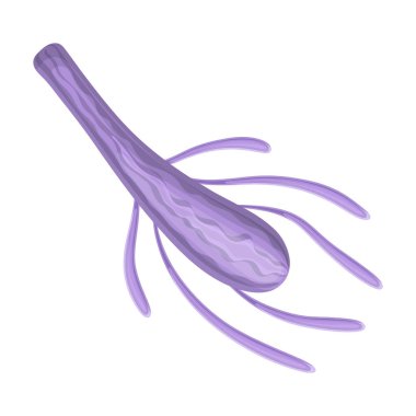 Plankton vektör simgesi. Çizgi film vektör simgesi beyaz arkaplan planktonunda izole edildi.