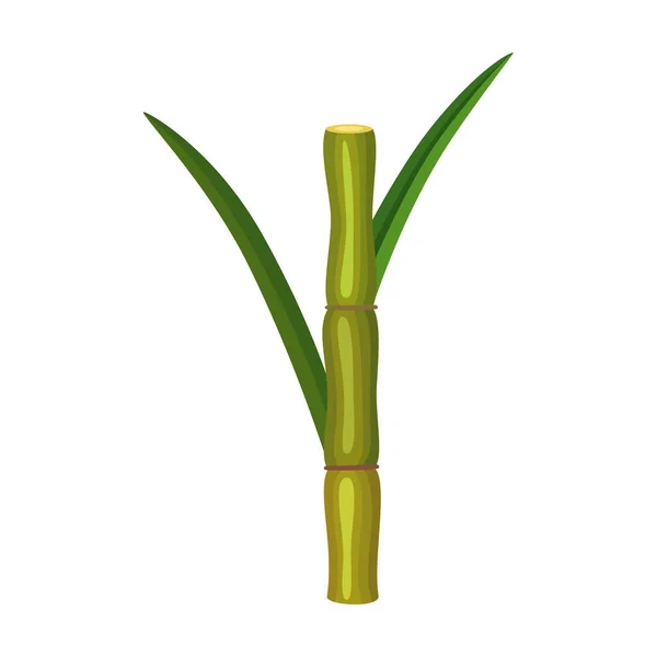 Stem sugar cane vector icon.Cartoon vector icon isolated on white background stem sugar cane. — Stock Vector