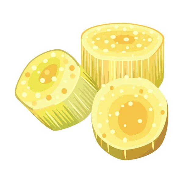 Coupe de canne à sucre vecteur icon.Cartoon vecteur icône isolée sur fond blanc tranche de canne à sucre . — Image vectorielle