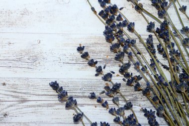 Arka planda lavanta kuru dal