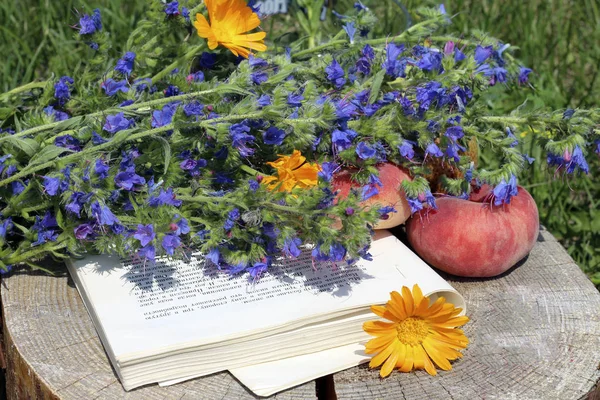 夏の花、果物、本の静物 — ストック写真