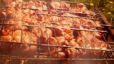 Tavuk ızgara boyunca kamera slaytlar