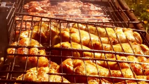 The camera slides along the grill with chicken and meat — Stock Video