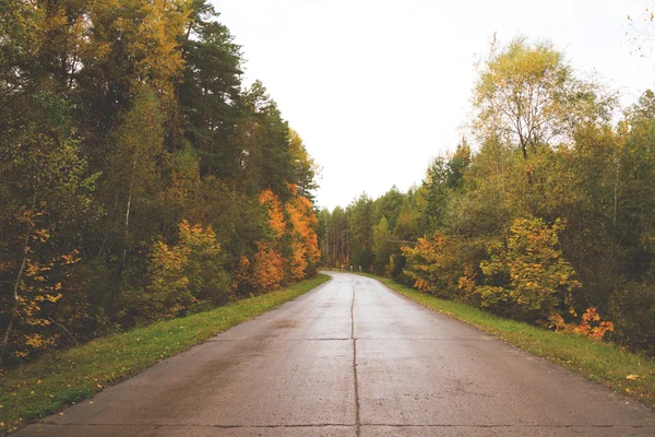 Camino a través del bosque de otoño — Foto de Stock