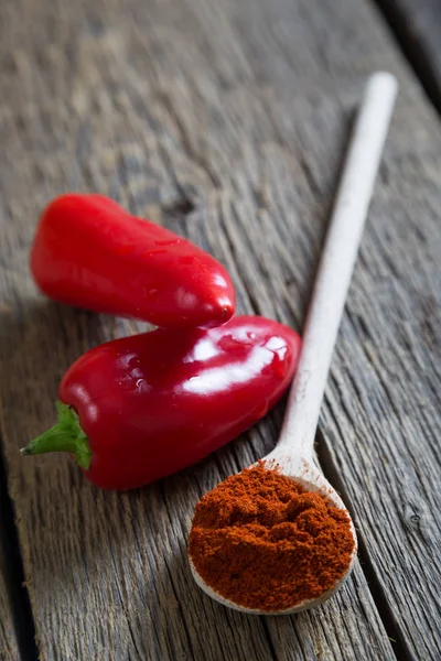 Paprika, fersk og tørket – stockfoto