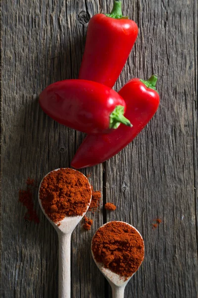 Paprika, färska och torkade — Stockfoto