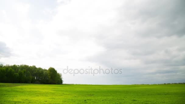 Wolken boven het veld. Tijd ronden landschap — Stockvideo