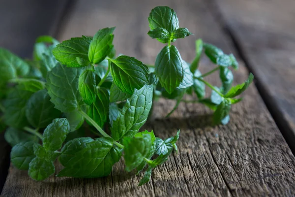 Foglie di menta fresca in tavola — Foto Stock