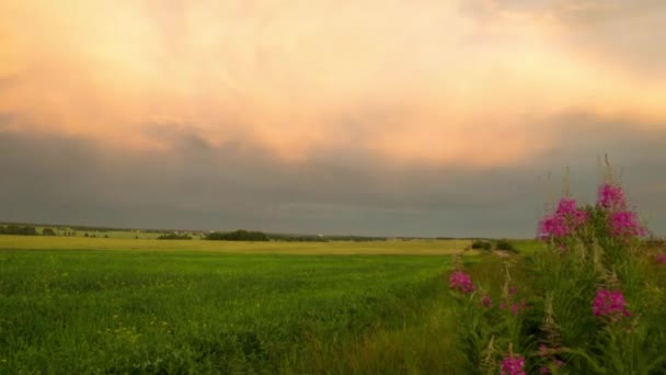 Puesta de sol sobre el campo después de la tormenta. Tiempo vueltas paisaje — Vídeos de Stock