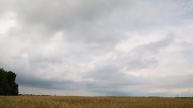 Bulutlar çavdar alanın üzerinde hareket. Zaman sukut manzara