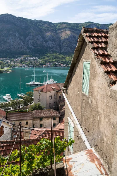 Kotor desde una altura. Montenegro — Foto de Stock