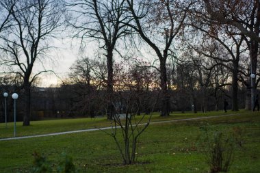 Yolları ve bisiklet yolları olan yeşil bahar parkı. Altyapı. Dinlenmek ve eğlenmek için. Doğa. Arkaplan.