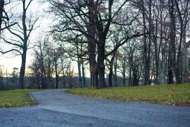 Yolları ve bisiklet yolları olan yeşil bahar parkı. Altyapı. Dinlenmek ve eğlenmek için. Doğa. Arkaplan.