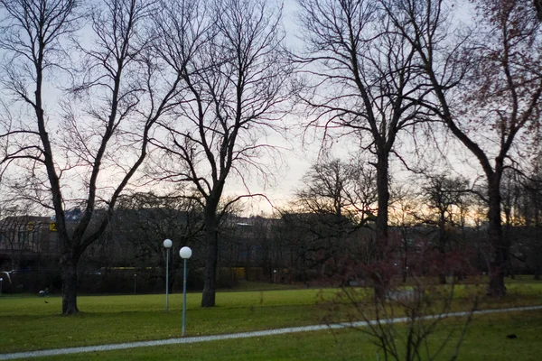 Green spring park with paths and bike paths. Infrastructure. Place for rest and entertainment. Nature. Background.