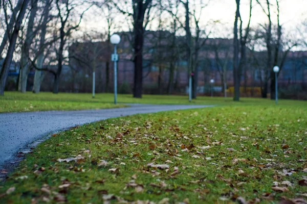 Grüner Quellpark Mit Wegen Und Radwegen Infrastruktur Platz Für Erholung — Stockfoto