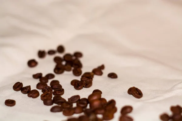 One Tone Light Background Coarse Fabric Arabica Coffee Beans Scattered — 스톡 사진