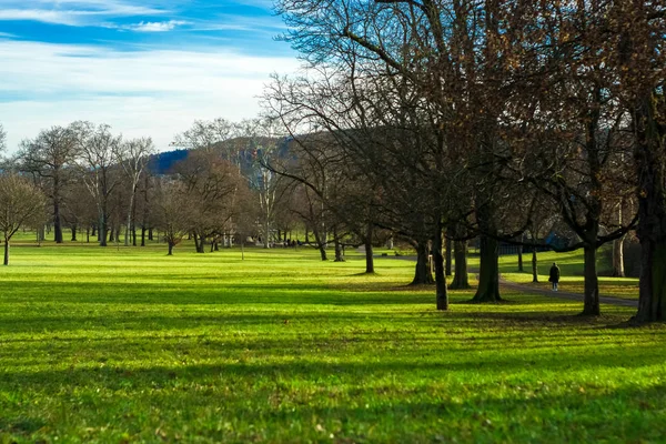Großzügiger Frühlingspark Mit Grünem Rasen Und Sonnigem Wetter — Stockfoto