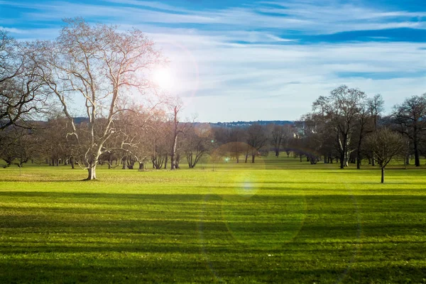 Großzügiger Frühlingspark Mit Grünem Rasen Und Sonnigem Wetter — Stockfoto