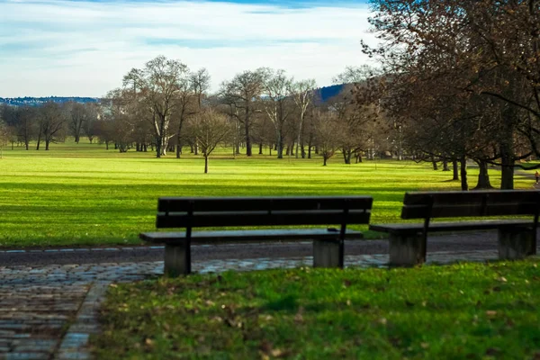 Großzügiger Frühlingspark Mit Grünem Rasen Und Sonnigem Wetter — Stockfoto