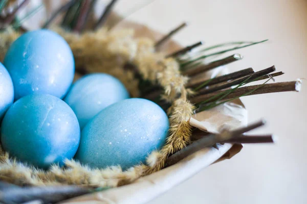 Easter holiday, background and decor of painted blue eggs in nest of flowers, branches. Religion and traditions.