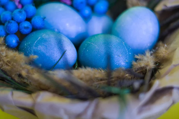 Pasen Vakantie Achtergrond Decor Van Geschilderde Blauwe Eieren Nest Van — Stockfoto