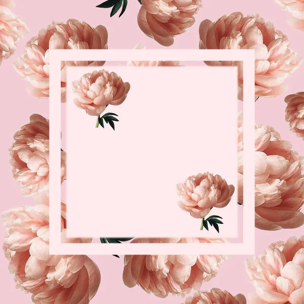 Różowe Rury Kwiaty Jasnym Tle Karty Pocztowe Ramka — Zdjęcie stockowe