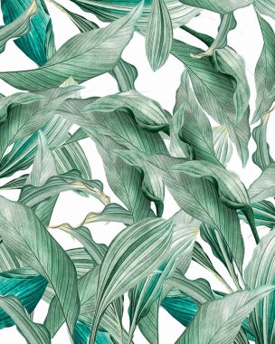 Suluboya, tropikal, palmiye, açık arkaplanda yeşil yapraklar. Kartpostal daveti.