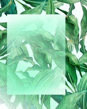 Suluboya, tropikal, palmiye, açık arkaplanda yeşil yapraklar. Kartpostal daveti.