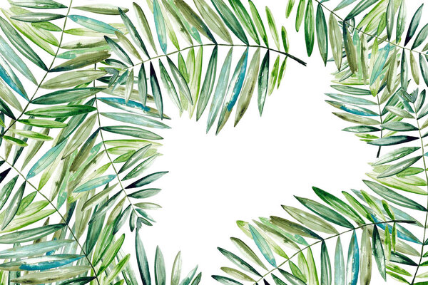 Background from tropical palm leaves. Card. The place for an inscription.