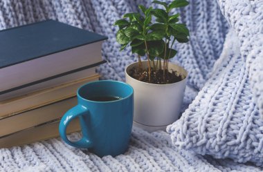 Mavi örülmüş kareli kumaş ve yastıkların arka planında saksıda çiçekler, kitaplar, bir kupa çay, bir çelenk. Ev işi.