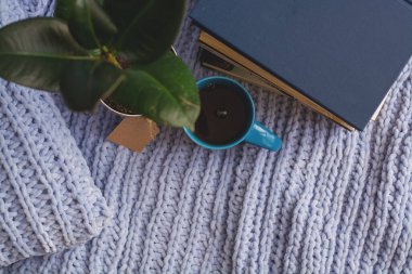 Mavi örülmüş kareli kumaş ve yastıkların arka planında saksıda çiçekler, kitaplar, bir kupa çay, bir çelenk. Ev işi.