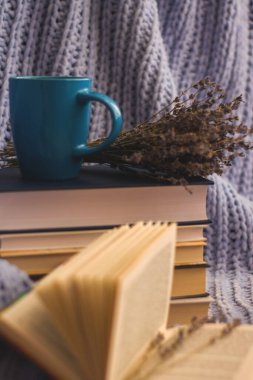 Kurumuş lavanta çiçekleri, kitaplar, kahve fincanı, çelenklerle dolu rahat bir evde mavi el yapımı ekose ve yastıkların arka planı.